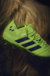 ADIDAS PAPER_GOAT_CarlesCarabi_09