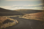 NewZealand_17