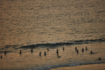 kerala_15