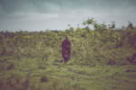 tanzania_09