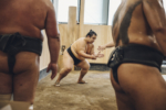 sumo_08