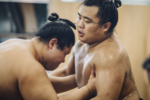 sumo_11