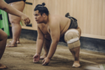 sumo_14