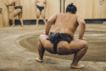 sumo_19