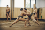 sumo_24