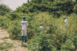 tokyo_baseball_02
