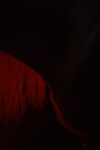 CAC01_HORSE_755_
