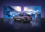 Ski Rack_CUPRA_BAD WEATHER RGB_